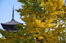 京都世界文化遺産：東寺